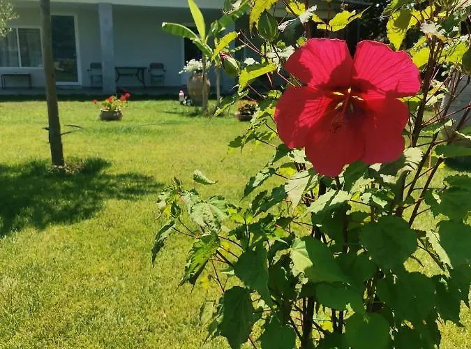 Artemis Néoi Póroi