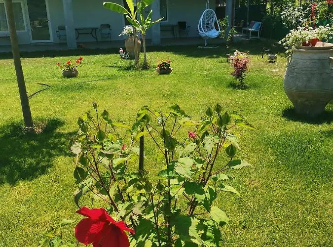 Villa Artemis *