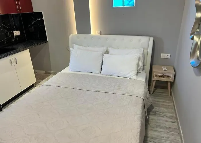 Artemis Néoi Póroi